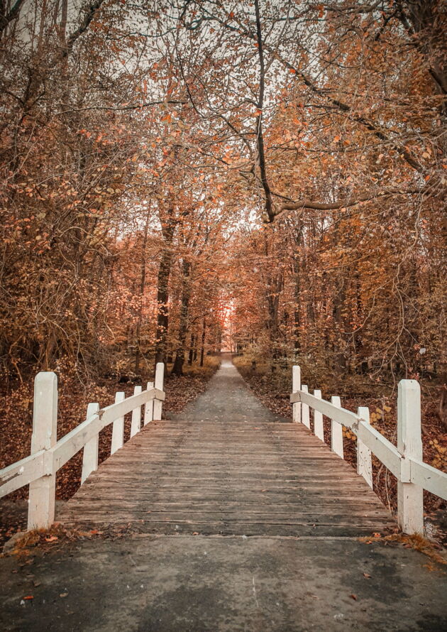 Herbst Wetter