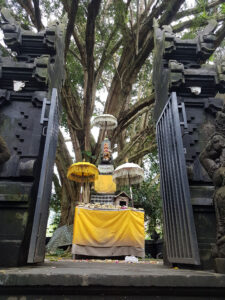 Bali-Tempel-und-Bali-Baum-Sonnenschirme